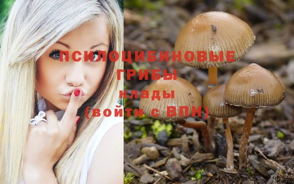 бутик Богородск